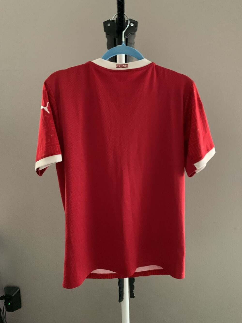 Puma Serbia 2020-2021 Men's Home Soccer Jersey - Picture 9 of 9